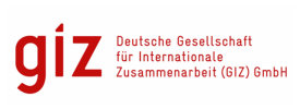 GIZ logo